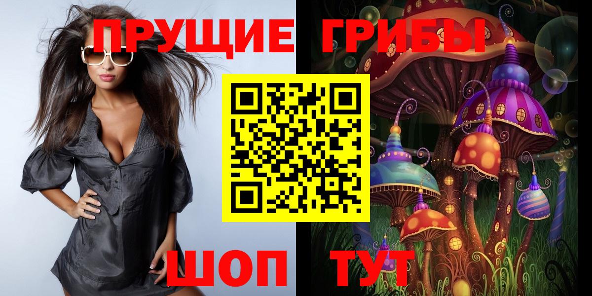 Псилоцибиновые грибы Psilocybe  Вход с VPN  Химки 
